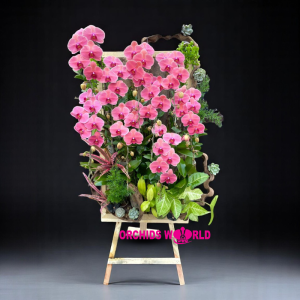 kệ hoa lan hồ điệp 9 cành hồng