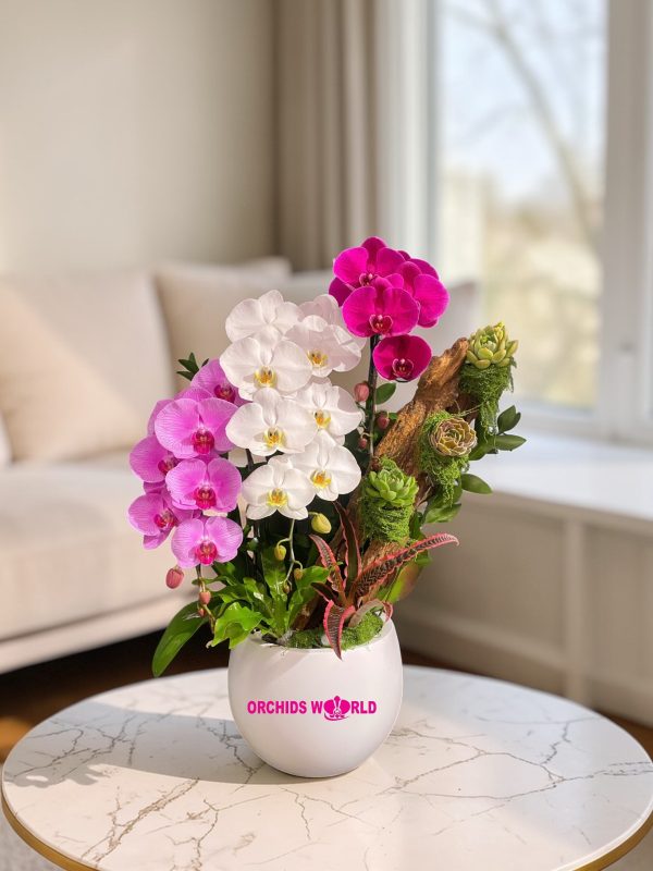 Người tinh tế thường chọn hoa gì