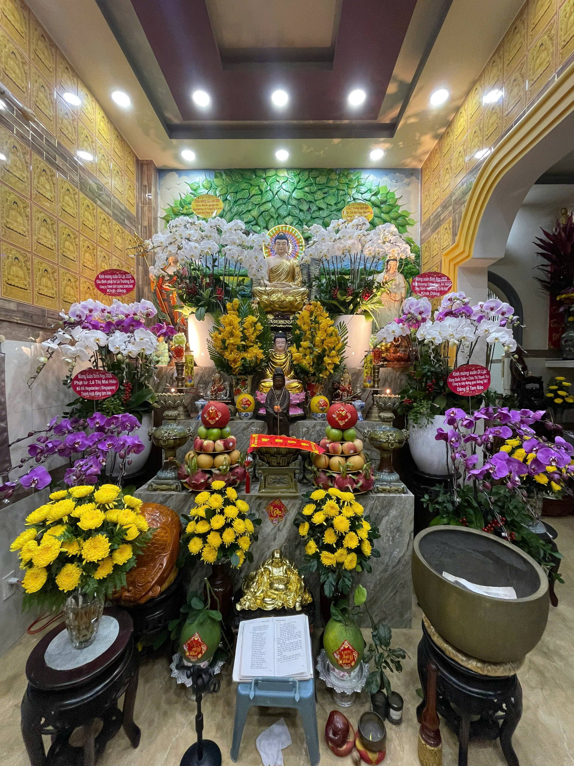 lan hồ điệp dâng phật